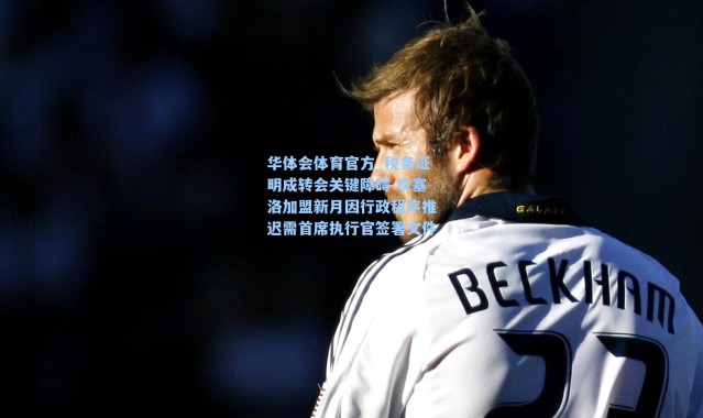 华体会体育官方_税务证明成转会关键障碍 坎塞洛加盟新月因行政程序推迟需首席执行官签署文件